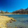 California Tuolumne Meadows