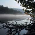 Tennessee Fishing on the Clinch